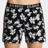 Atlantic 2MBX-031  3
